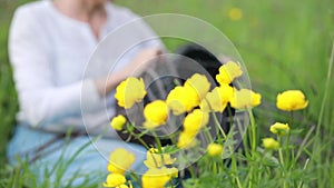 Folk crafts. Handmade. Young woman weaves rattar baskets sitting in the grass. Yellow flowers in the foreground