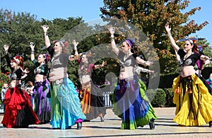 Folk dance show