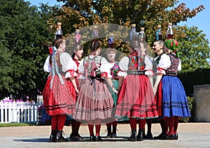 Folk dance show