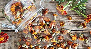 Folk medicine. Dried red flowers of marigold-marigolds on a wooden background in a glass jar for storage.The benefits of medicinal