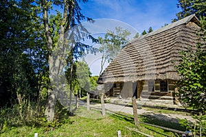 Folk scenic view Eastern European rural wooden village house cabin in garden park trees surrounding in summer colorful clear