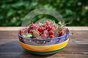 Folkish bowl full of red riped juicy and healthy sour cherries