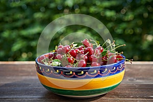 Folkish bowl full of red riped juicy and healthy sour cherries