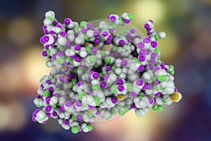 Follicle stimulating hormone, molecular model