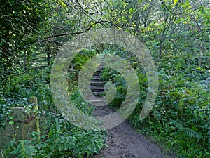 Follow the damp path up the wet steps  to Birchen Edge