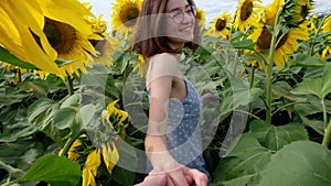 Follow me concept. Young beautiful girl holding hand of boyfriend, leading the way through sunflowers field