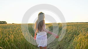 Follow me. Happy couple holding hands, running on golden wheat field and having fun outdoors, Couple walking on meadow