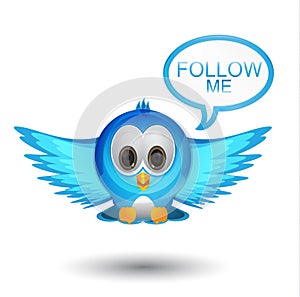 Follow me twitter bird photo