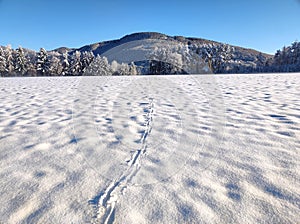 Follow paw print of deer in winter wonderland with scenic mountain view