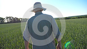Follow to unrecognizable male farmer walking over green wheat field on his farm. Young man examining cereal stalks at