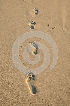 Follow the trail Footprints in the sand