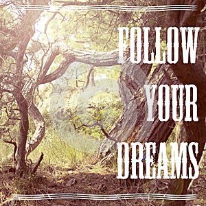 Follow Your Dreams