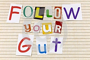 Follow your gut feeling trust instinct motivation believe intuition