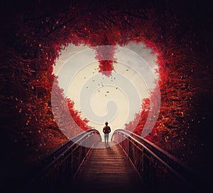 Seguire il tuo cuore. solitario persona perduto autunno foresta trovato modo fuori da foresta come passeggiate la strada attraverso 