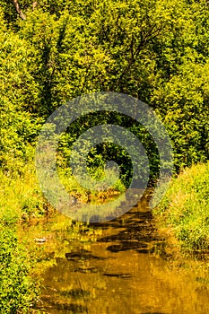 Following a Peaceful, Gorgeous  Country Creek in Iowa