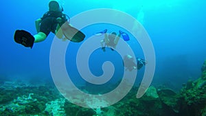 Following a set of divers above bleached coral