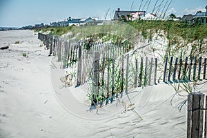 Folly beach charleston south carolina on atlantic ocean