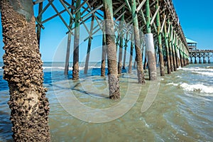 Folly beach pier in charleston south carolina