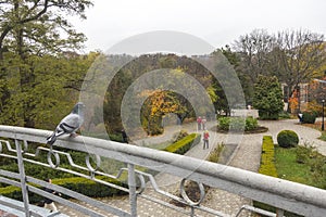 Fomin Botanical Garden in Kyiv