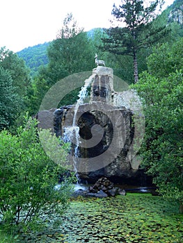 Font de l'isard, Caldes de Boi, Lleida ( Spain )