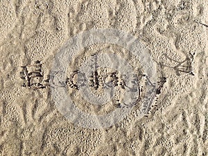 Font wrote 'ecology' on the sand