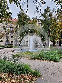 Fontain autumn leaves