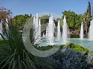 Fontain in a park with green plants