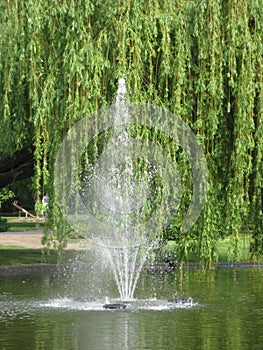 Fontain, Pond, Water Nature, Park, Spring Sunny day