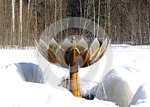 Fontain in winter forest