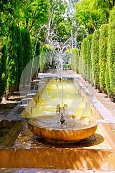 Fontaine of Hort del Rei gardens Palma de Mallorca photo