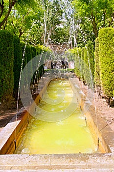 Fontaine of Hort del Rei gardens Palma de Mallorca photo