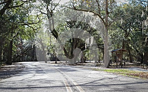 Fontainebleau State Park - Louisiana