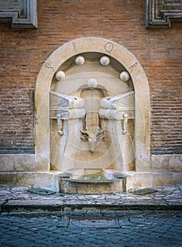 Fontana dei Libri Fountain of the Books in Rome, near Piazza Navona, Italy.