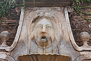 The Fontana del Mascherone, Giulia street, Rome