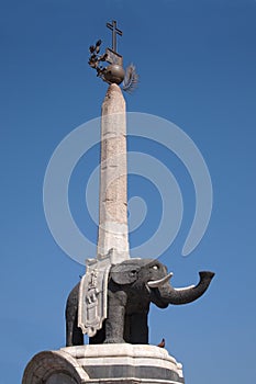 Fontana dell Elefante photo