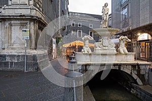 The Fontana dellâ€™Amenano, Catania