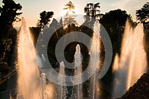 Fontana di Nettuno on sunset at tivoli