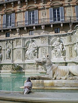 Fonte Gaia (Fountain of Joy)in Siena. Italy, Europe