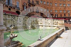 Fonte Gaia fountain of joy, with the Virgin Mary and baby Jesus. Piazza del Campo Campo square.