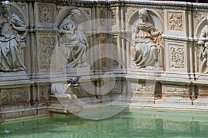 Fonte Gaia fountain of joy, with the Virgin Mary and baby Jesus. Piazza del Campo Campo square.