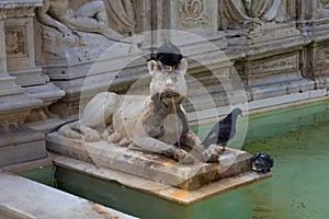 Fonte Gaia fountain of joy, with the Virgin Mary and baby Jesus. Piazza del Campo Campo square.