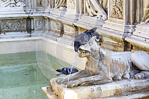 Fonte Gaia fountain situated at the very heart of the city in Piazza del Campo in Siena, Tuscany, Italy