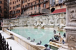 Fonte Gaia, Siena