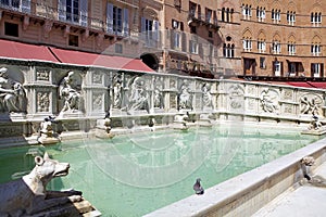 Fonte Gaia, Siena, Tuscany, Italy photo