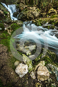 Fontegreca Forest Waterfalls, Campagnia