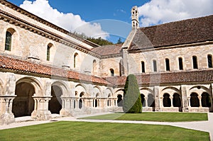 Fontenay Abbey Cloister photo