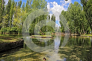 The Fonti del Clitunno lake in Umbria - Italy