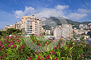 Fontvieille. Monaco photo