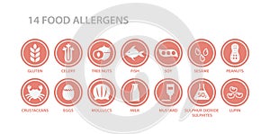 14 food allergens menu list circle icon set. Food allergen white icons in pink circles. photo