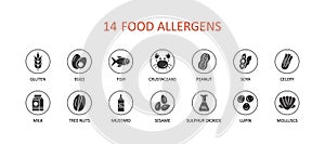 Food allergens set icons. Glyph vector infographic banner. Gluten free eggs fish clams soy mustard. Milk lupine celery peanuts